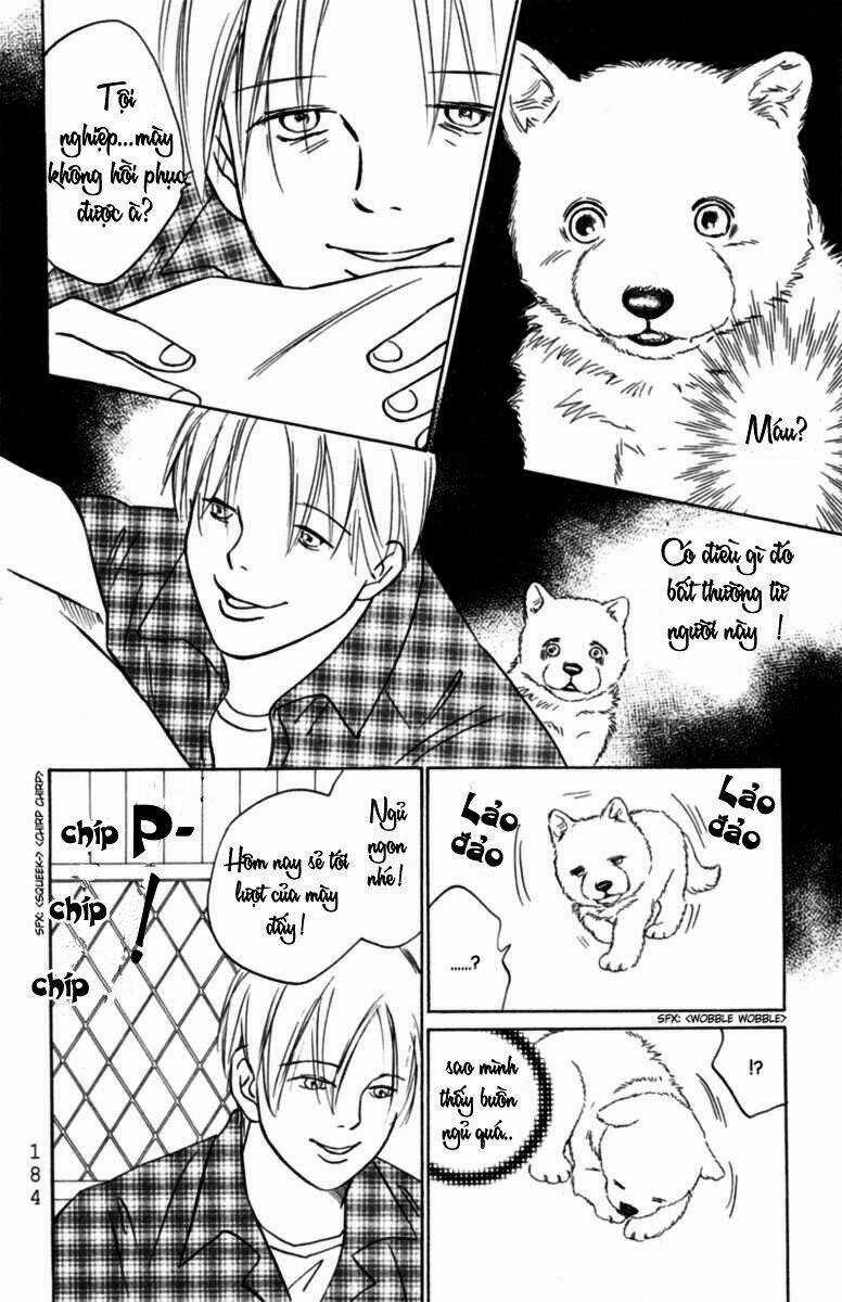 Deep Love - Pao no Monogatari Chapter 6 trang 14