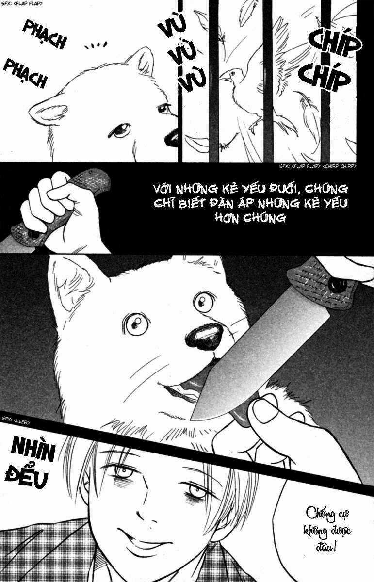 Deep Love - Pao no Monogatari Chapter 6 trang 17