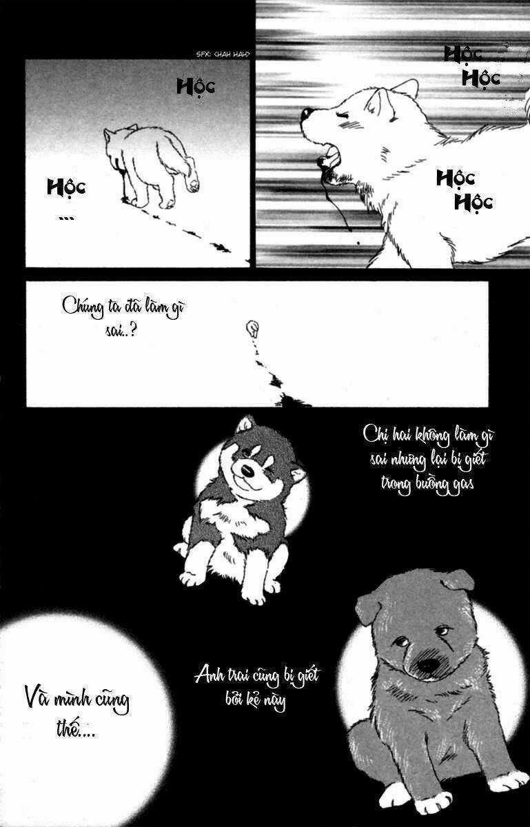 Deep Love - Pao no Monogatari Chapter 6 trang 22