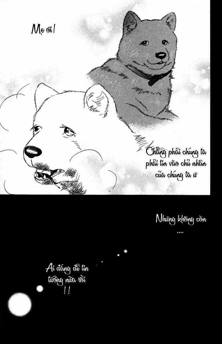 Deep Love - Pao no Monogatari Chapter 6 trang 23