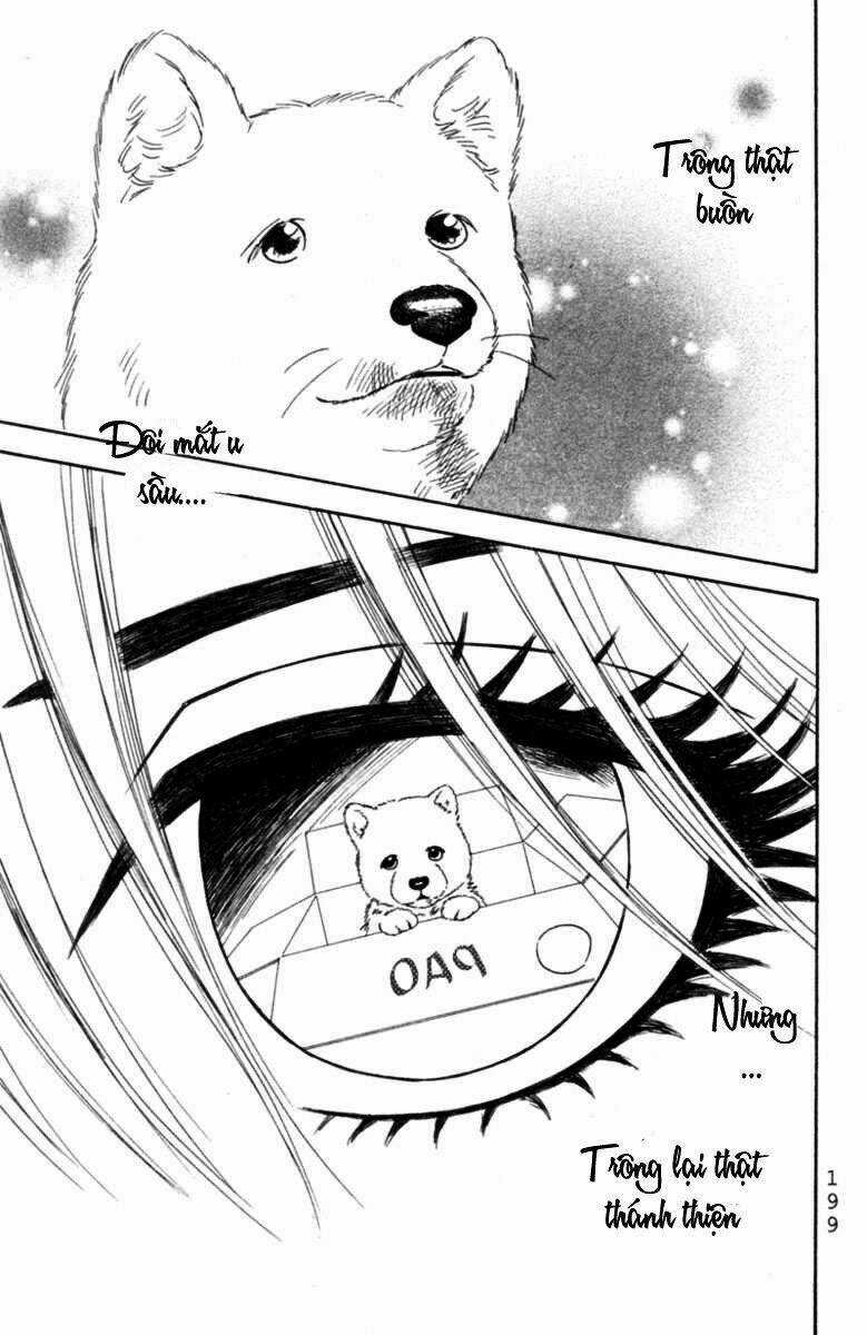 Deep Love - Pao no Monogatari Chapter 6 trang 29