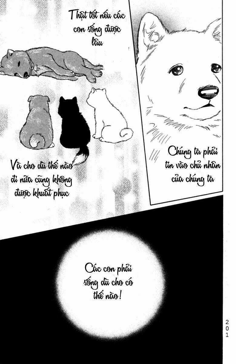 Deep Love - Pao no Monogatari Chapter 6 trang 31