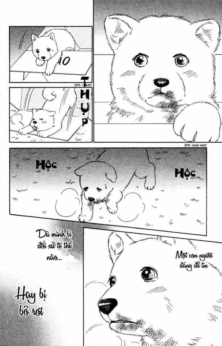 Deep Love - Pao no Monogatari Chapter 6 trang 32