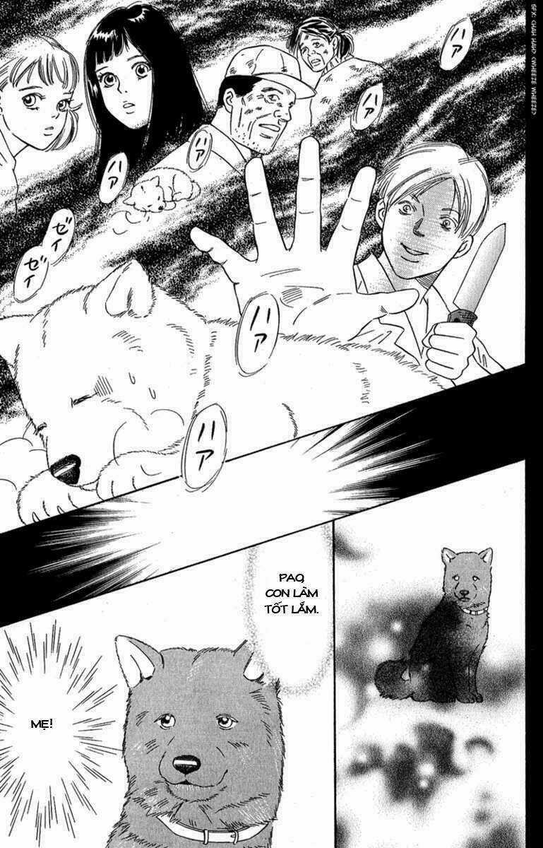 Deep Love - Pao no Monogatari Chapter 7 trang 17