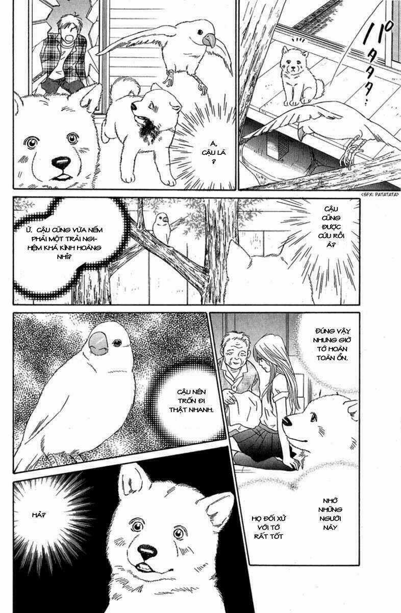 Deep Love - Pao no Monogatari Chapter 7 trang 24