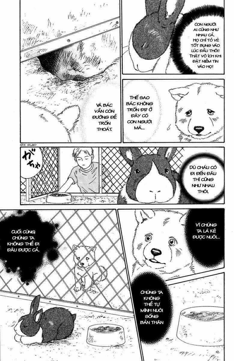 Deep Love - Pao no Monogatari Chapter 7 trang 43