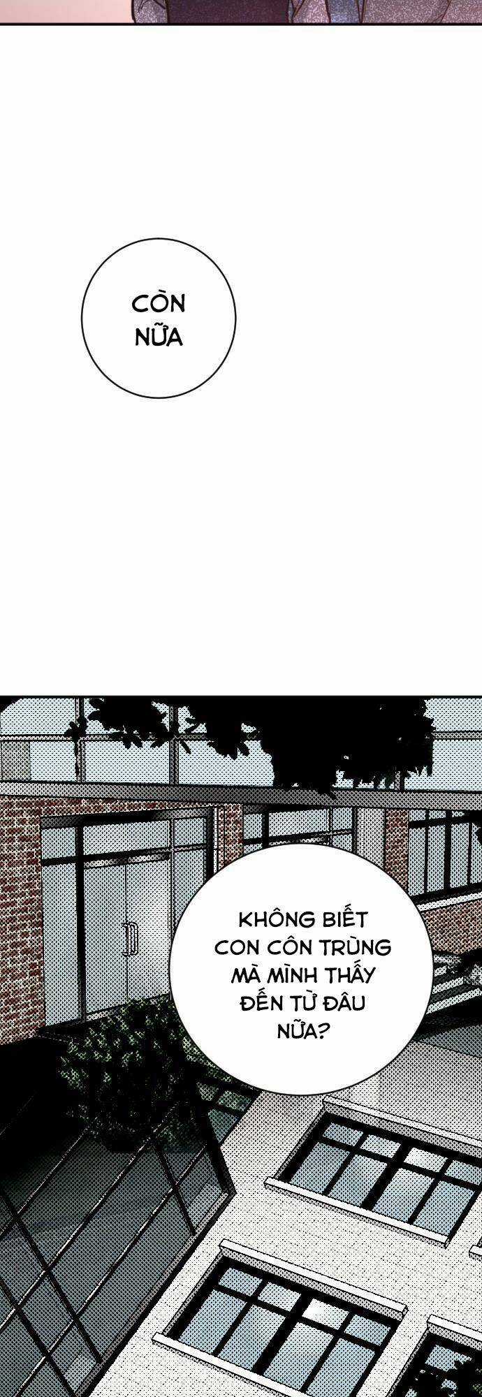 Đêm Của Bóng Tối Chapter 12 trang 19