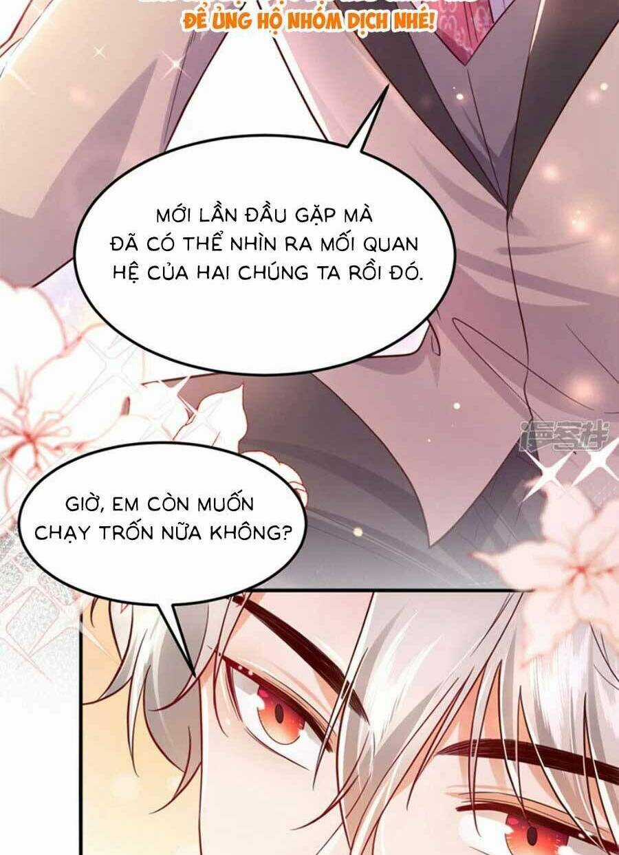 Đêm Nay Ác Nữ Giáng Lâm Chapter 106 trang 13