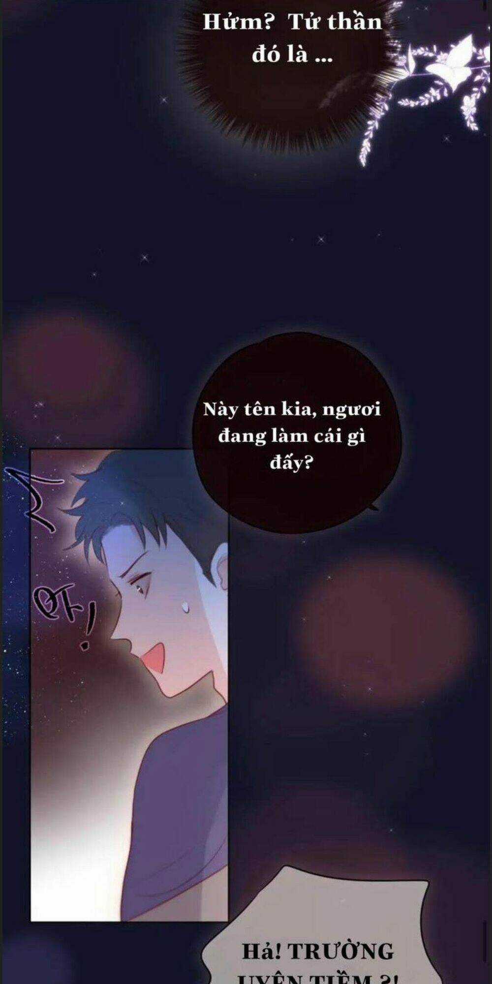 Đêm Ngày Không Dứt Chapter 95 trang 19