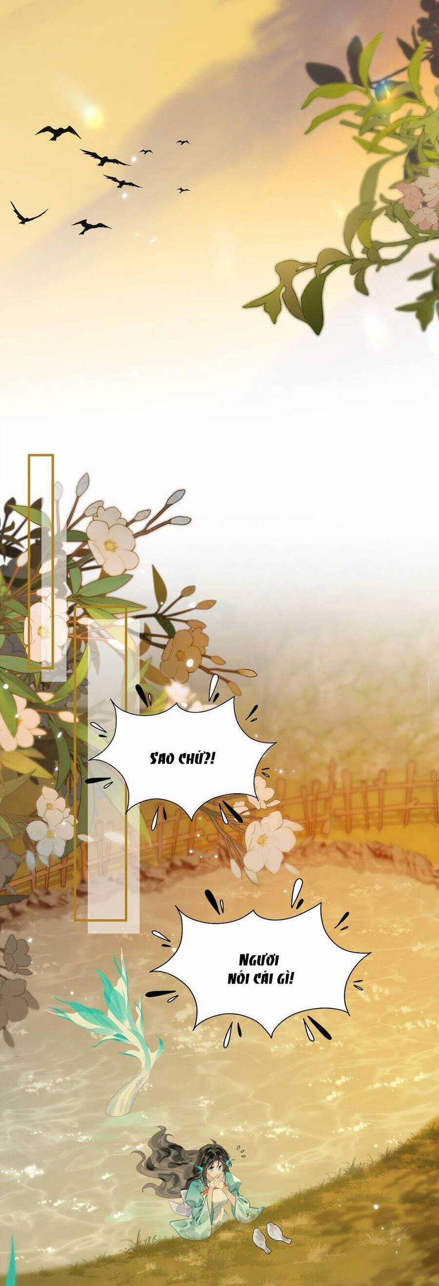 Đến Đông Hải Tìm Mỹ Nhân Chapter 12 trang 14