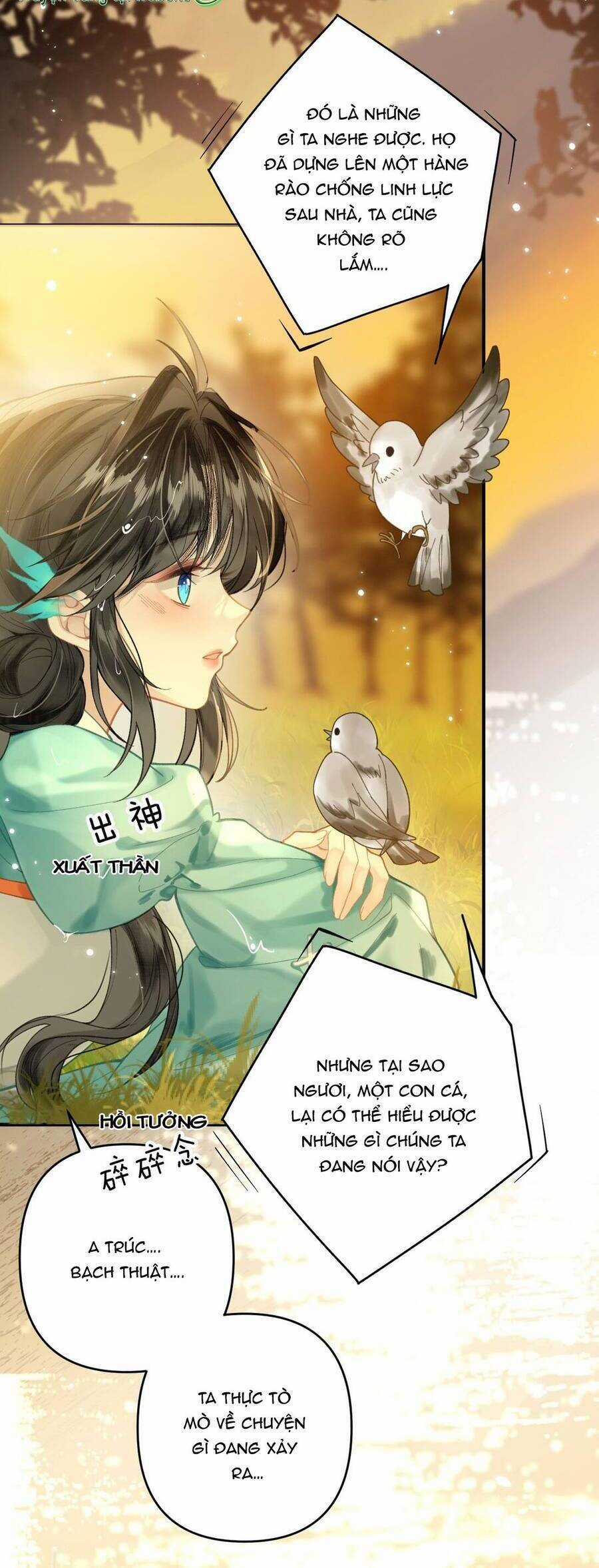 Đến Đông Hải Tìm Mỹ Nhân Chapter 12 trang 17