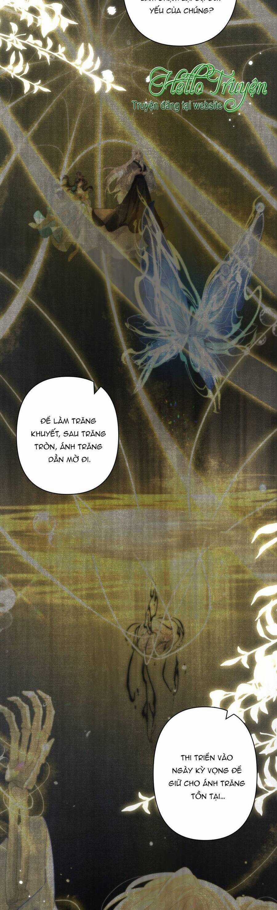 Đến Đông Hải Tìm Mỹ Nhân Chapter 30 trang 28