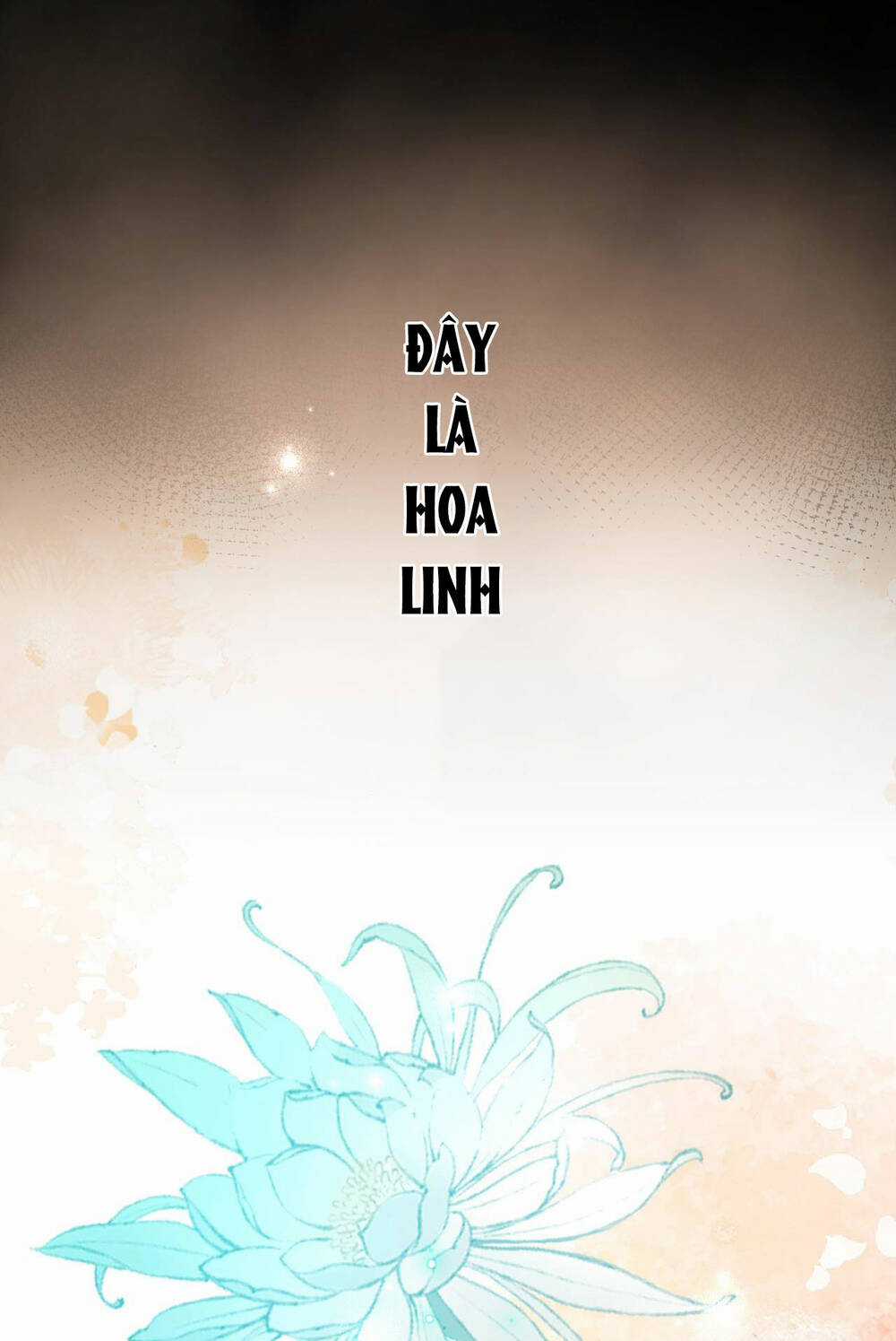 Đến Đông Hải Tìm Mỹ Nhân Chapter 6 trang 66