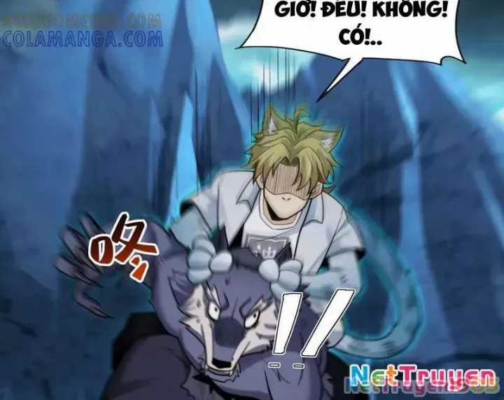 Đến Ma Quỷ Còn Sợ Tâm Thần Chương 156 trang 12