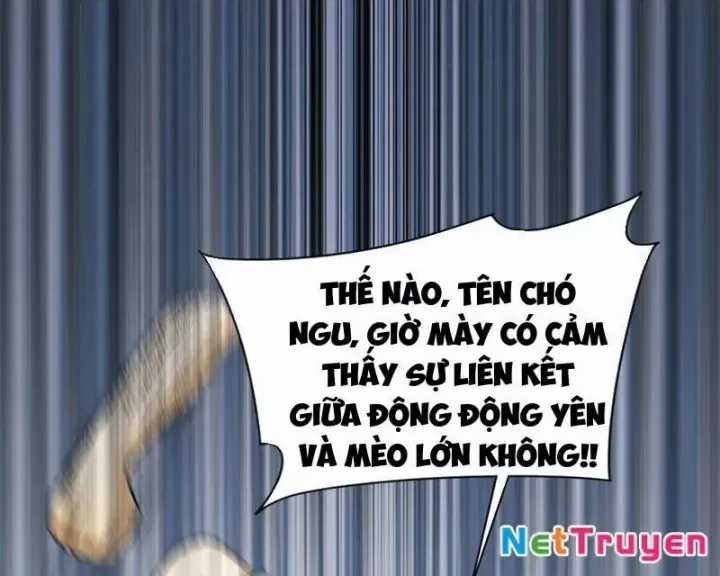 Đến Ma Quỷ Còn Sợ Tâm Thần Chương 156 trang 42