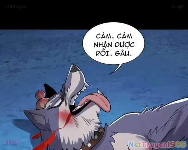 Đến Ma Quỷ Còn Sợ Tâm Thần Chương 156 trang 45