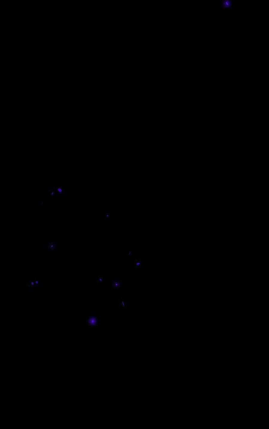 Deor! Chapter 23 trang 38