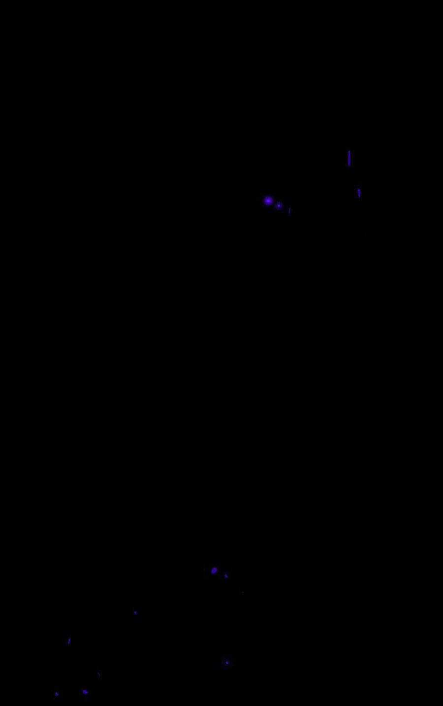 Deor! Chapter 23 trang 39