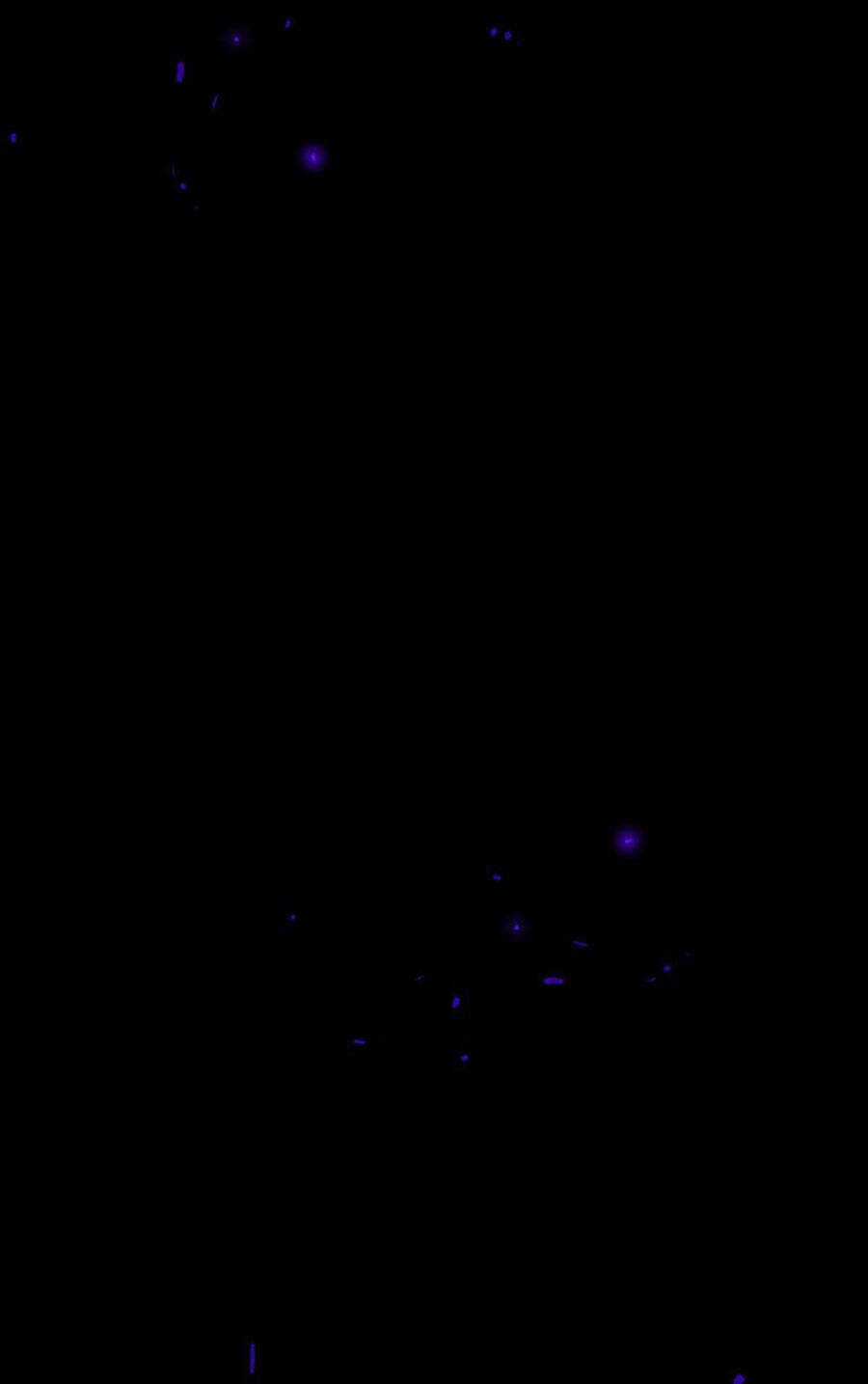 Deor! Chapter 23 trang 40