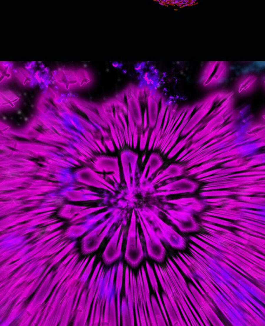 Deor! Chapter 49 trang 96