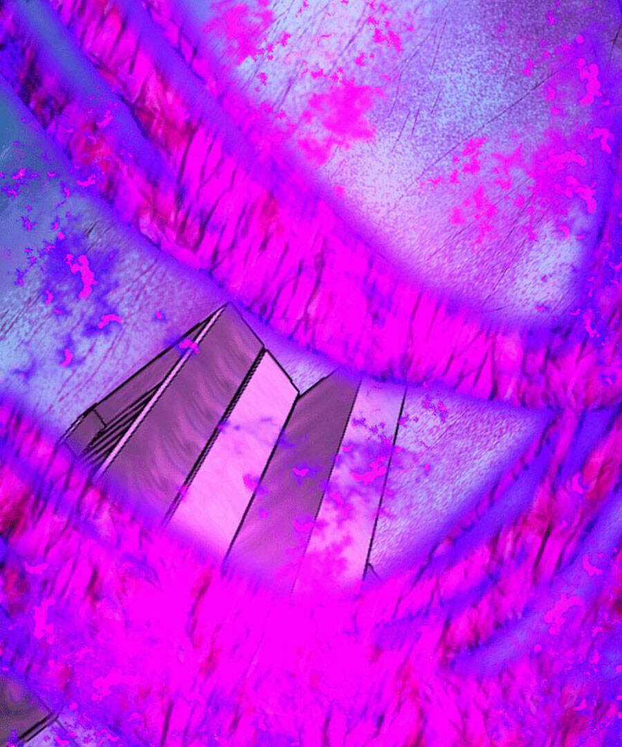 Deor! Chapter 64 trang 30