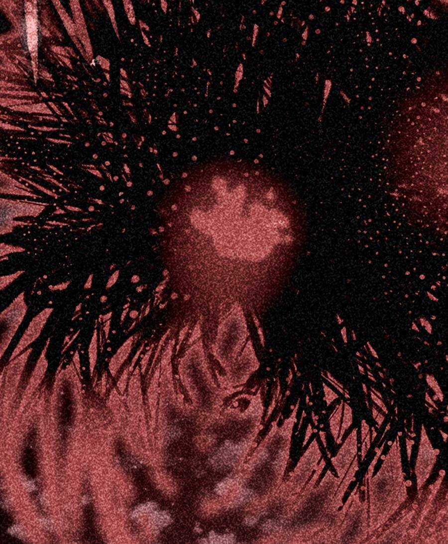 Deor! Chapter 66 trang 50