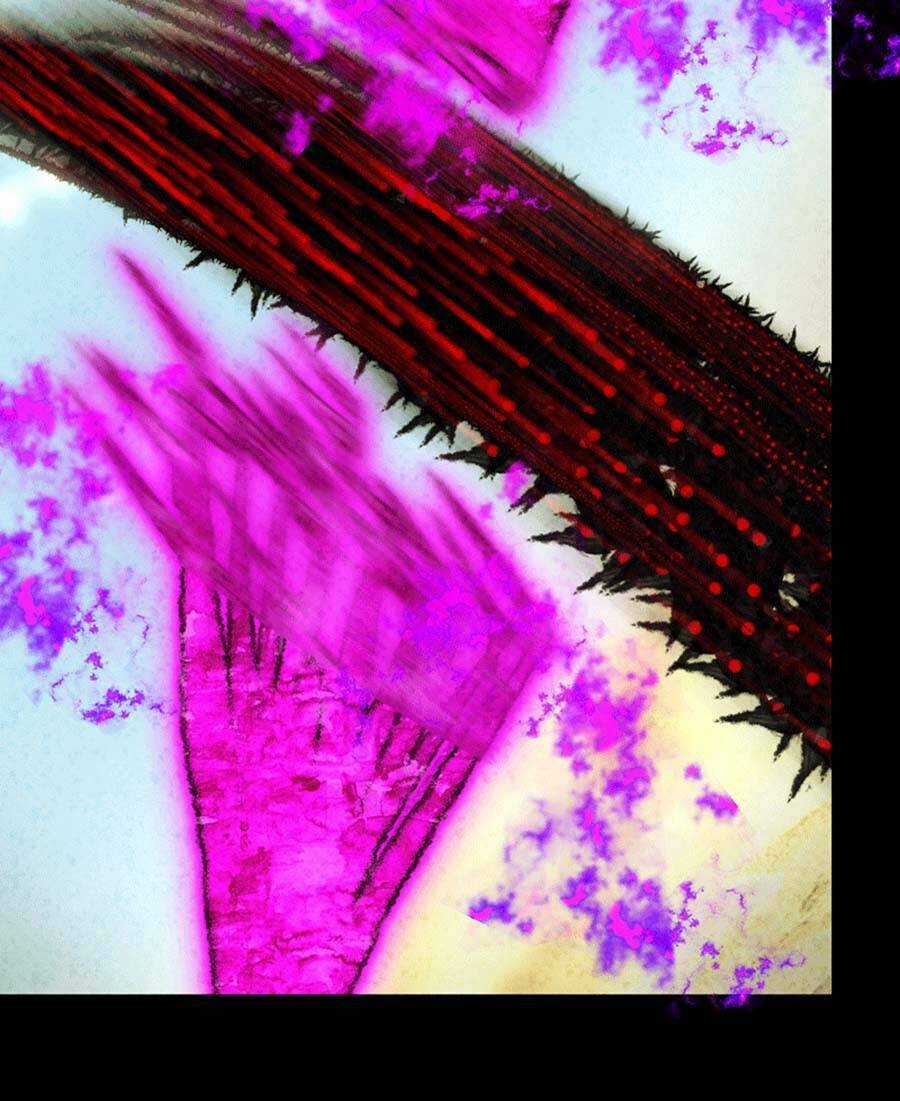 Deor! Chapter 67 trang 9