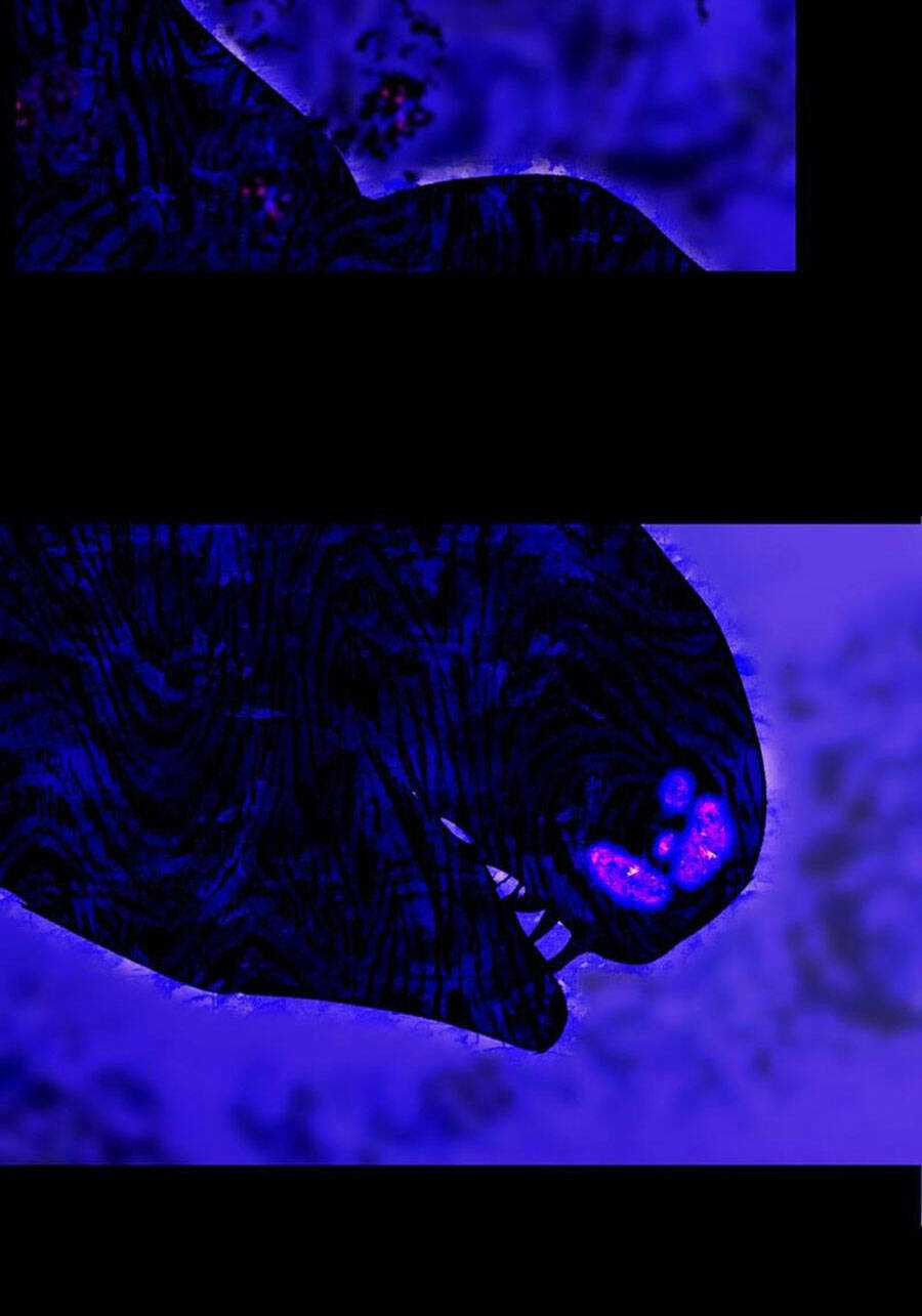 Deor! Chapter 78 trang 15