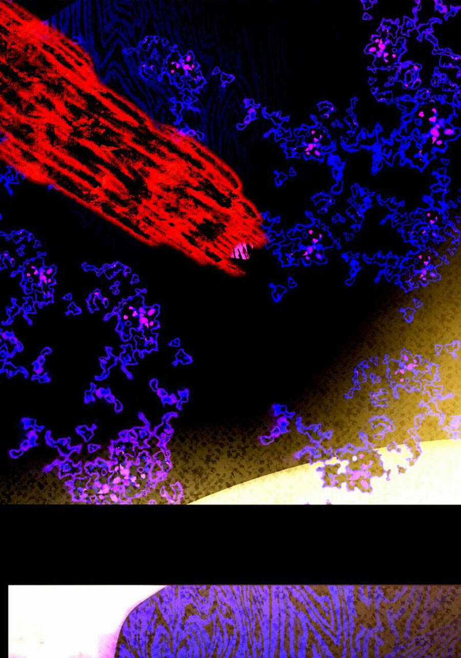 Deor! Chapter 78 trang 3