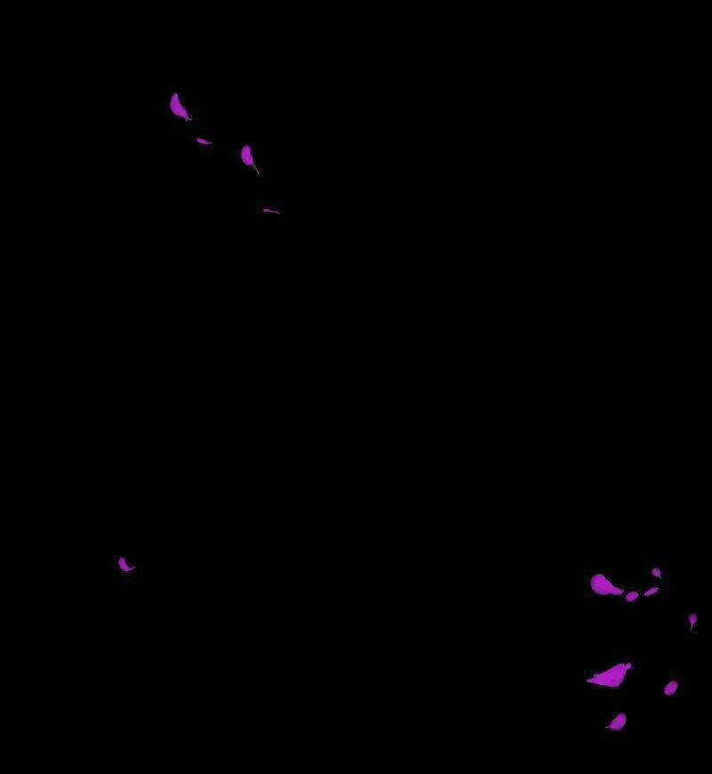 Deor! Chapter 8 trang 66