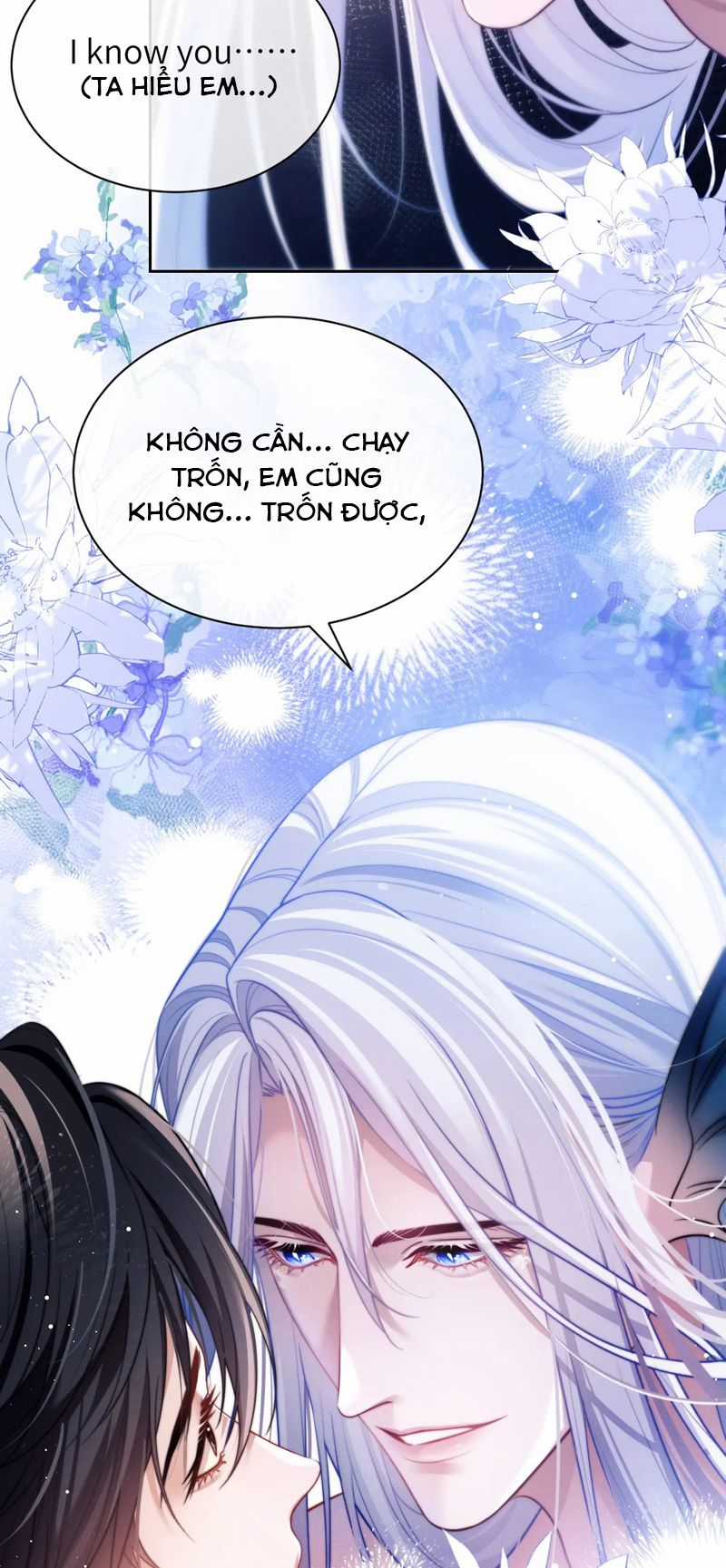 Desharow Nhân Ngư Chapter 29 trang 11