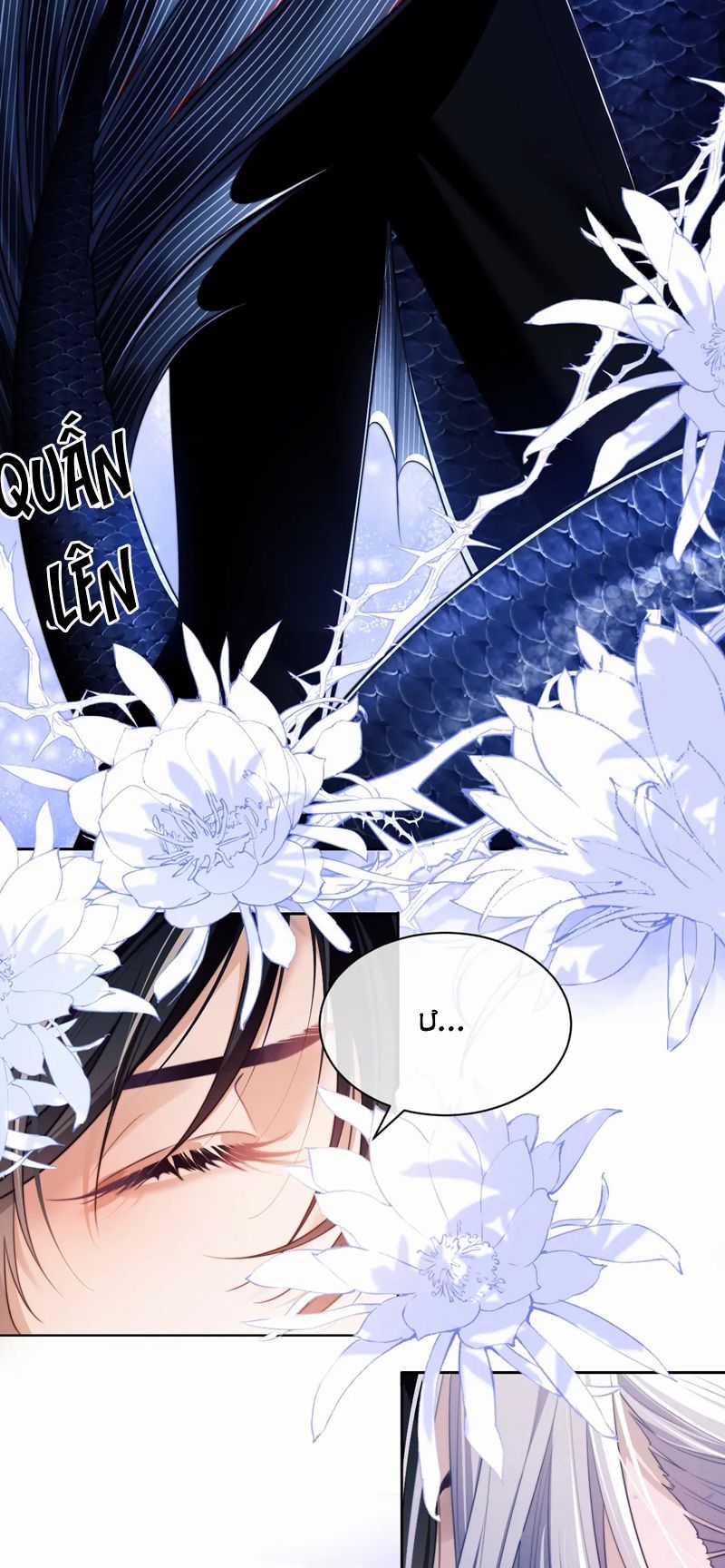 Desharow Nhân Ngư Chapter 29 trang 5