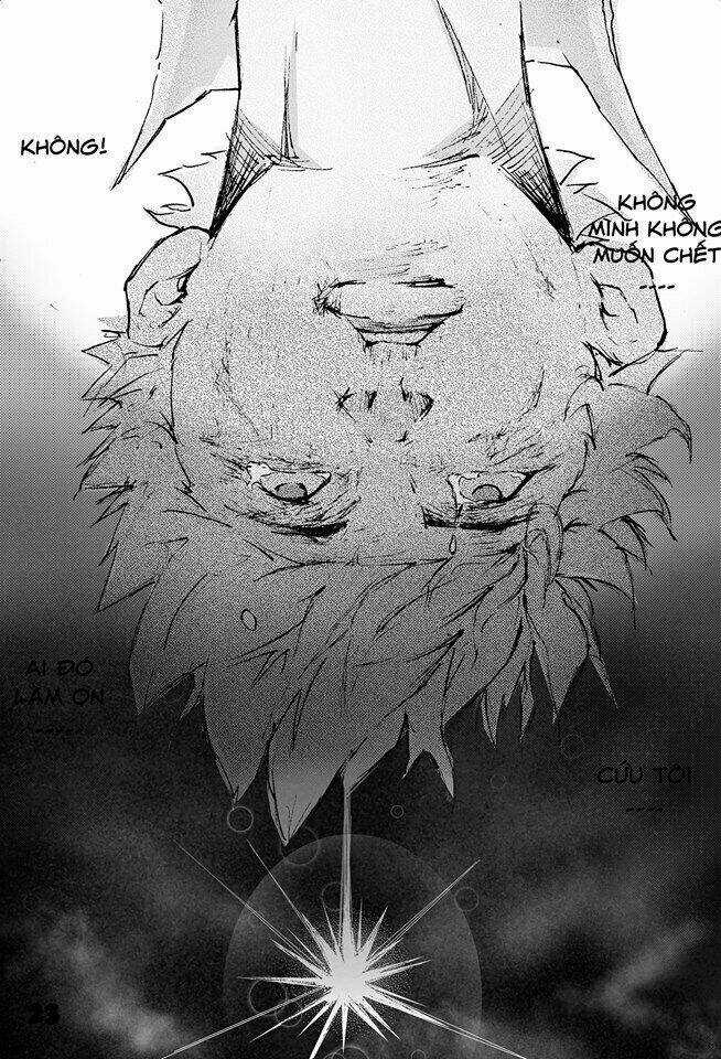 Destiny's Curse 6 - Quyền Năng Tối Thượng Chapter 1 trang 22