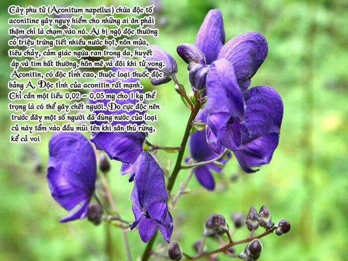 Detective Academy Q Chapter 57 trang 25