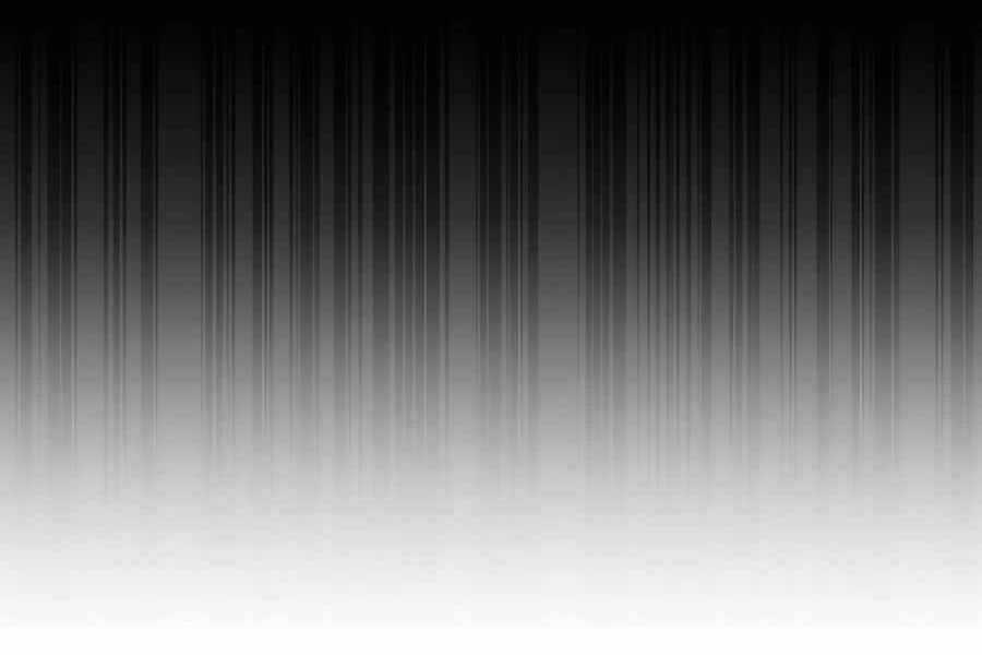 Đi Săn Tự Động Bằng Phân Thân Chương 5 trang 220