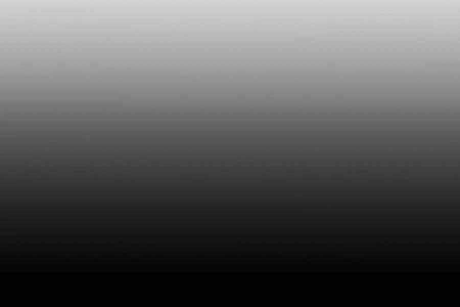 Đi Săn Tự Động Bằng Phân Thân Chương 6 trang 141