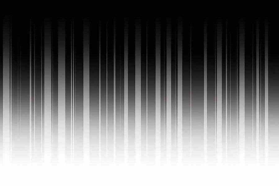 Đi Săn Tự Động Bằng Phân Thân Chương 6 trang 170