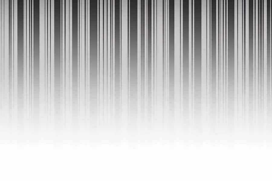 Đi Săn Tự Động Bằng Phân Thân Chương 6 trang 81