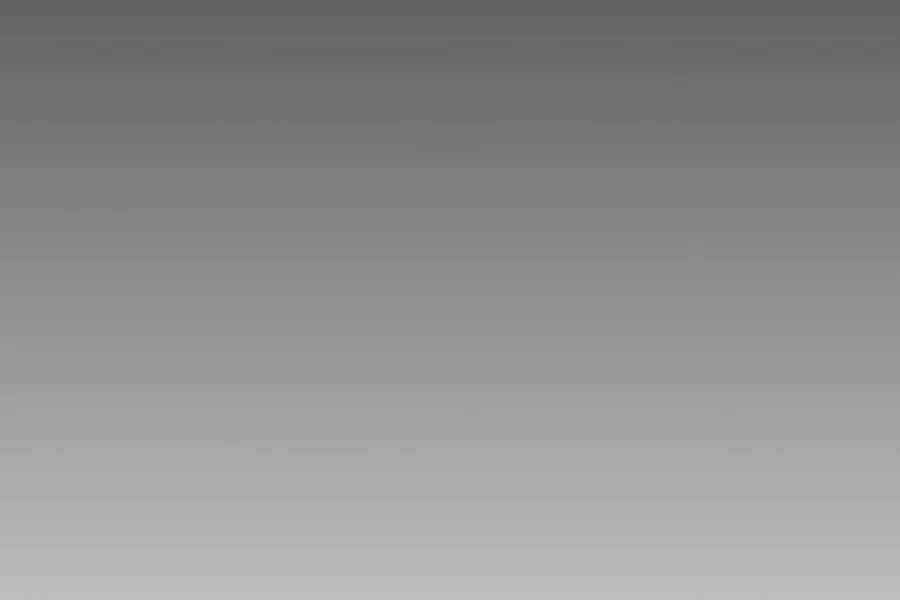 Đi Săn Tự Động Bằng Phân Thân Chương 7 trang 175