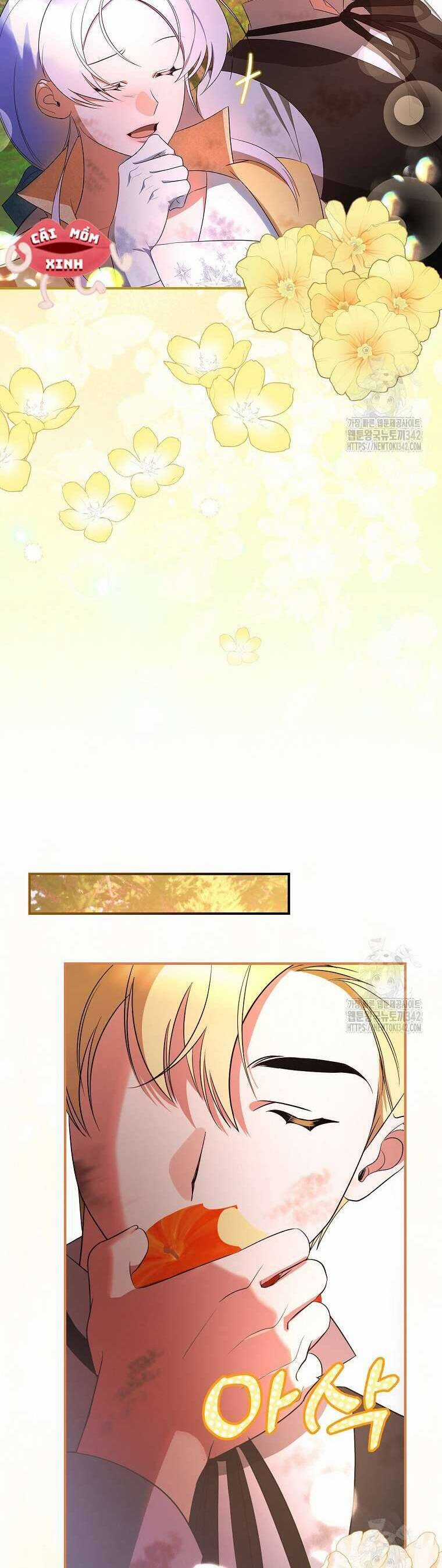 Đi Tìm Nàng Công Chúa Bỏ Trốn Chapter 21 trang 29