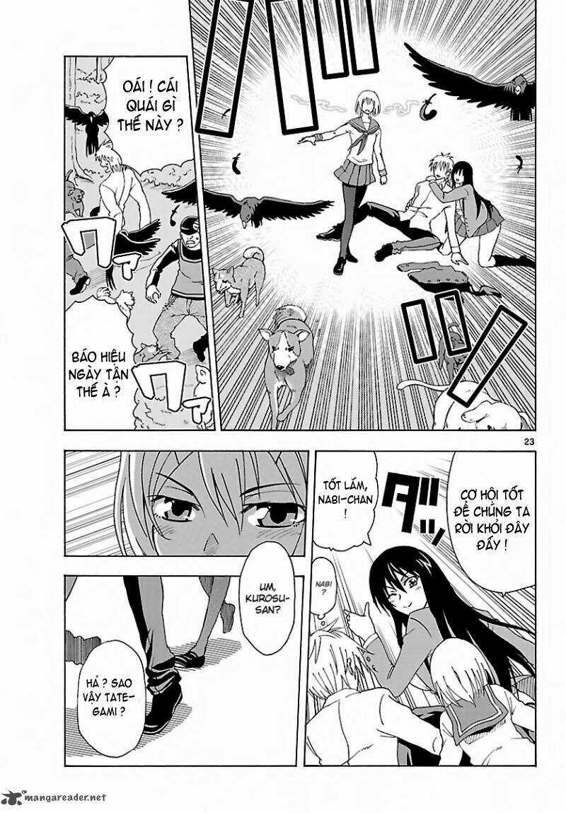 Diamond Cut Diamond Chapter 3 trang 22