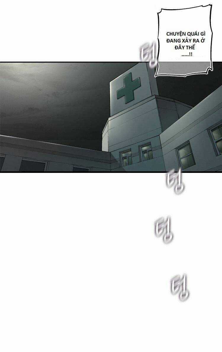 Diamond Dust Chapter 12 trang 50