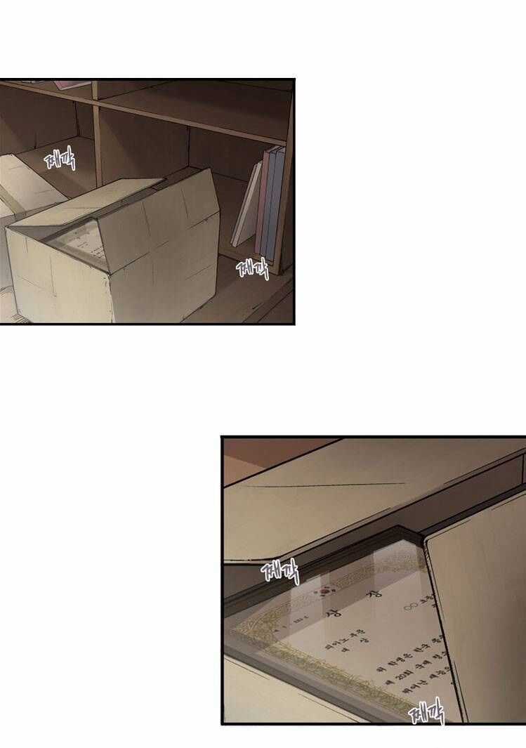 Diamond Dust Chapter 2 trang 38