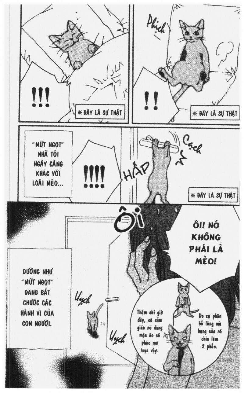 Diamond Head Chapter 2 trang 184