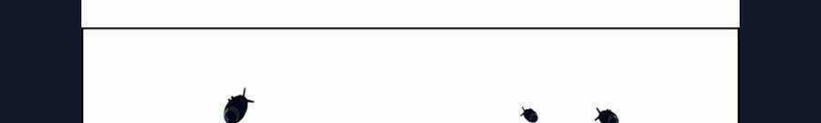 Dice Chapter 336 trang 77