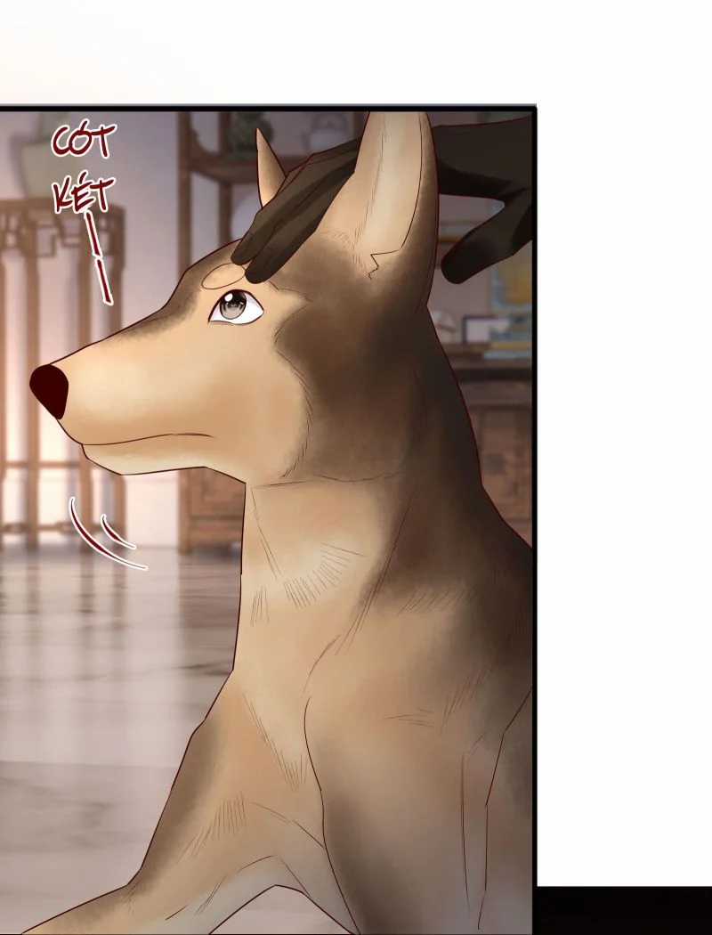 Diễn Giả Làm Thật Chapter 71 trang 26