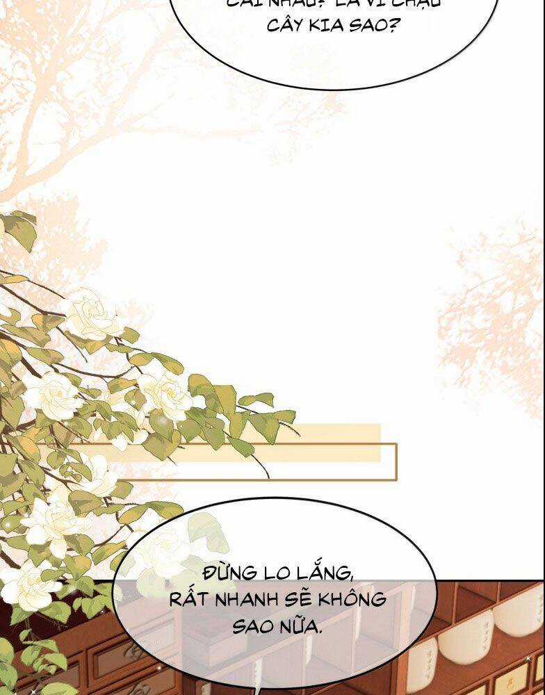 Điện Hạ Khuynh Thành Chương 100 trang 17