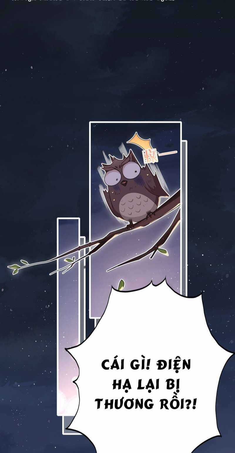 Điện Hạ Khuynh Thành Chương 27 trang 10