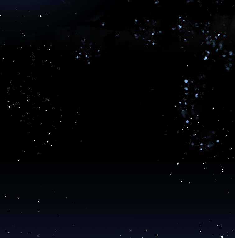 Điện Hạ Khuynh Thành Chương 36 trang 12