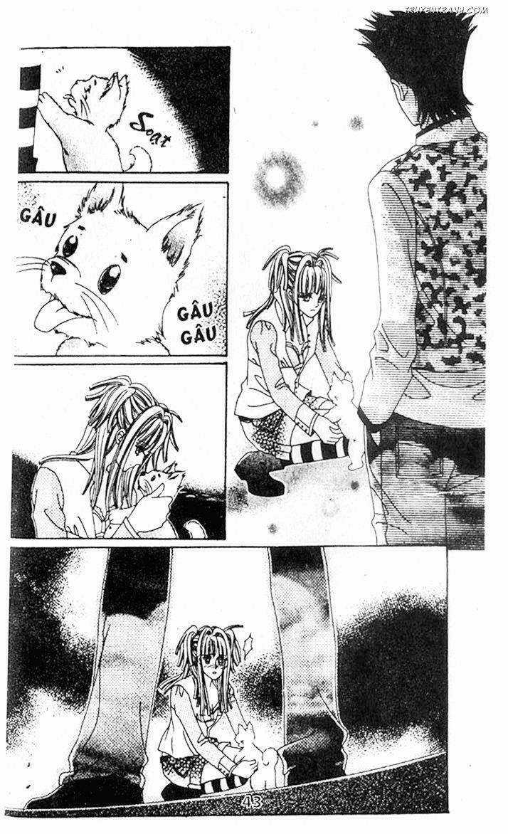 Điên Vì Yêu - Love Like Crazy Chapter 26 trang 14